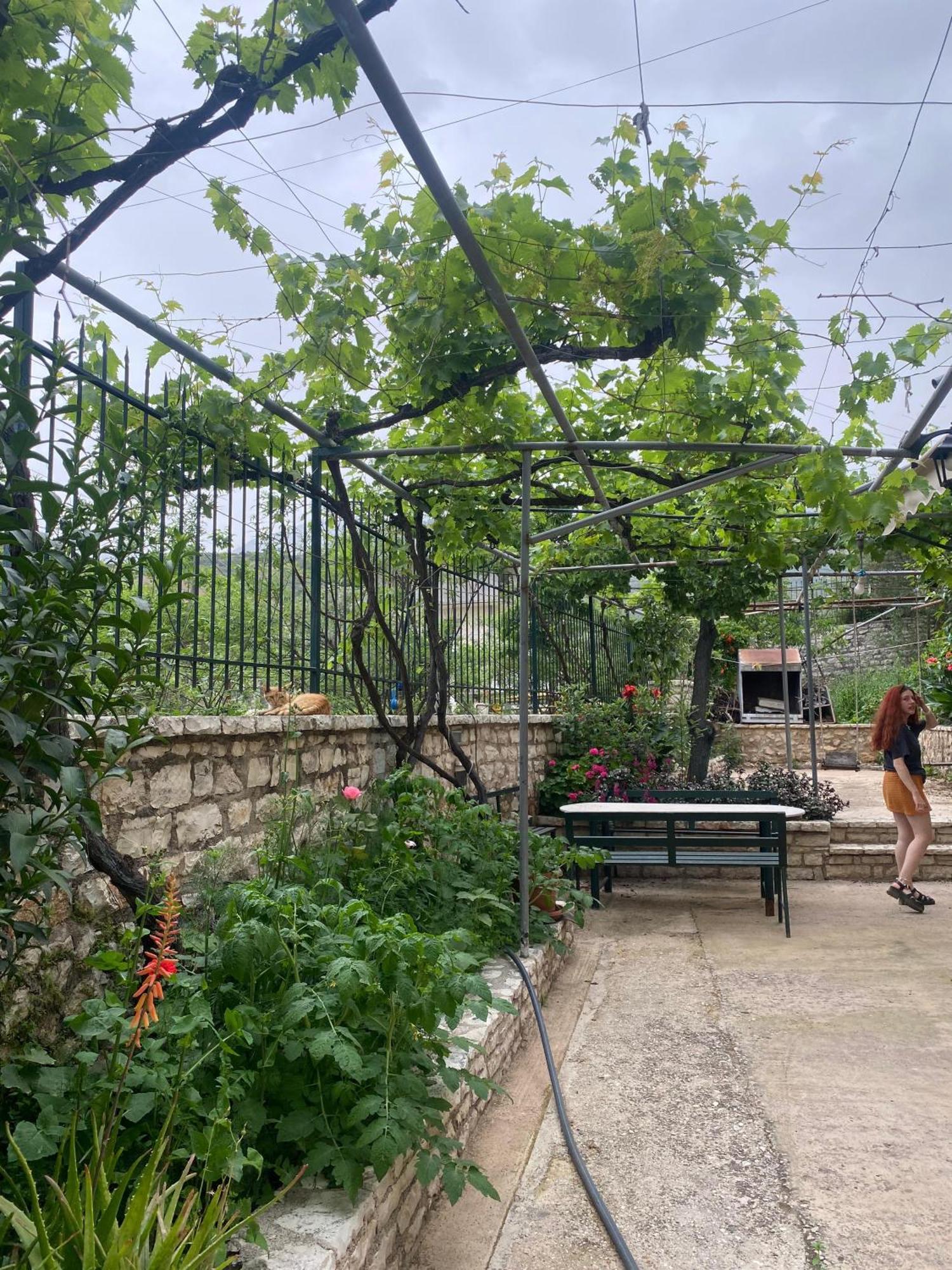 Ostello Oasis