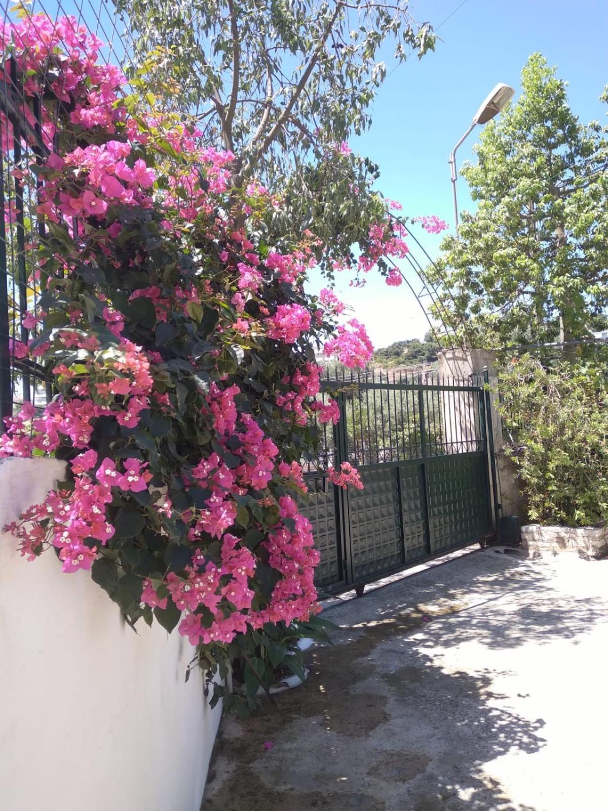 Oasis Ostello Himare